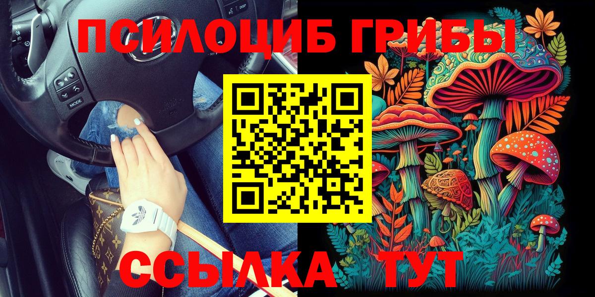 Псилоцибиновые грибы Magic Shrooms  Вход с VPN  Белая Калитва  Псилоцибиновые грибы Magic Shrooms 